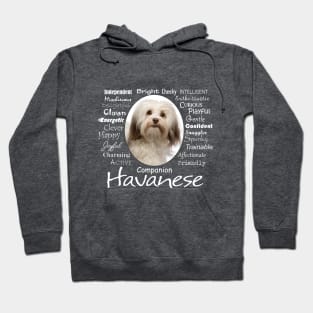 Havanese Traits Hoodie